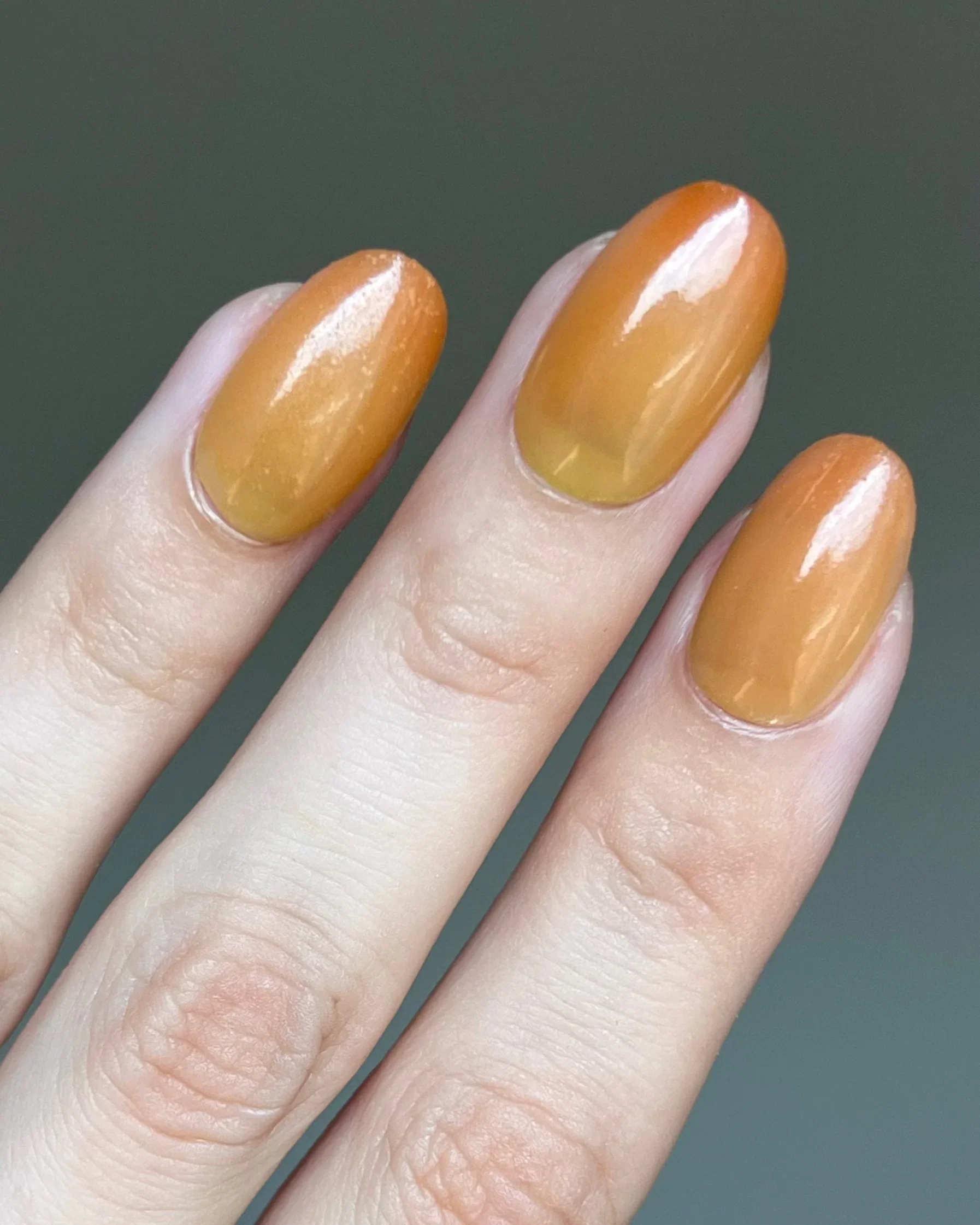 Limited Edition 7 - Changing Leaves Dipping Powder - Image 5