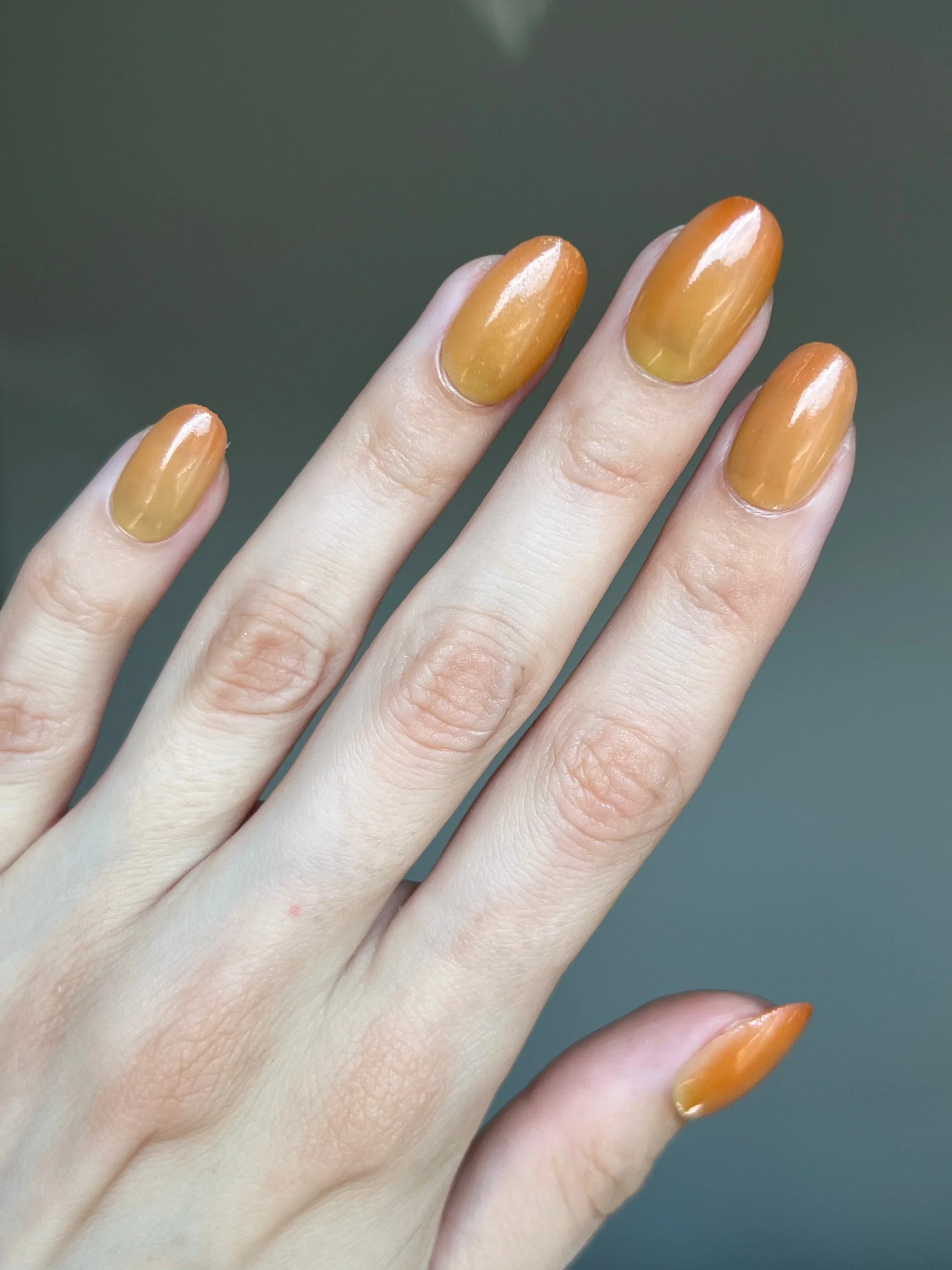 Limited Edition 7 - Changing Leaves Dipping Powder - Image 6